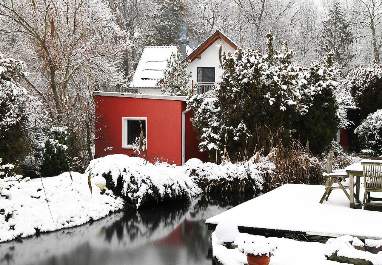 Haus Mit Kunst Zwischen Wald Und See لبسيا المظهر الخارجي الصورة