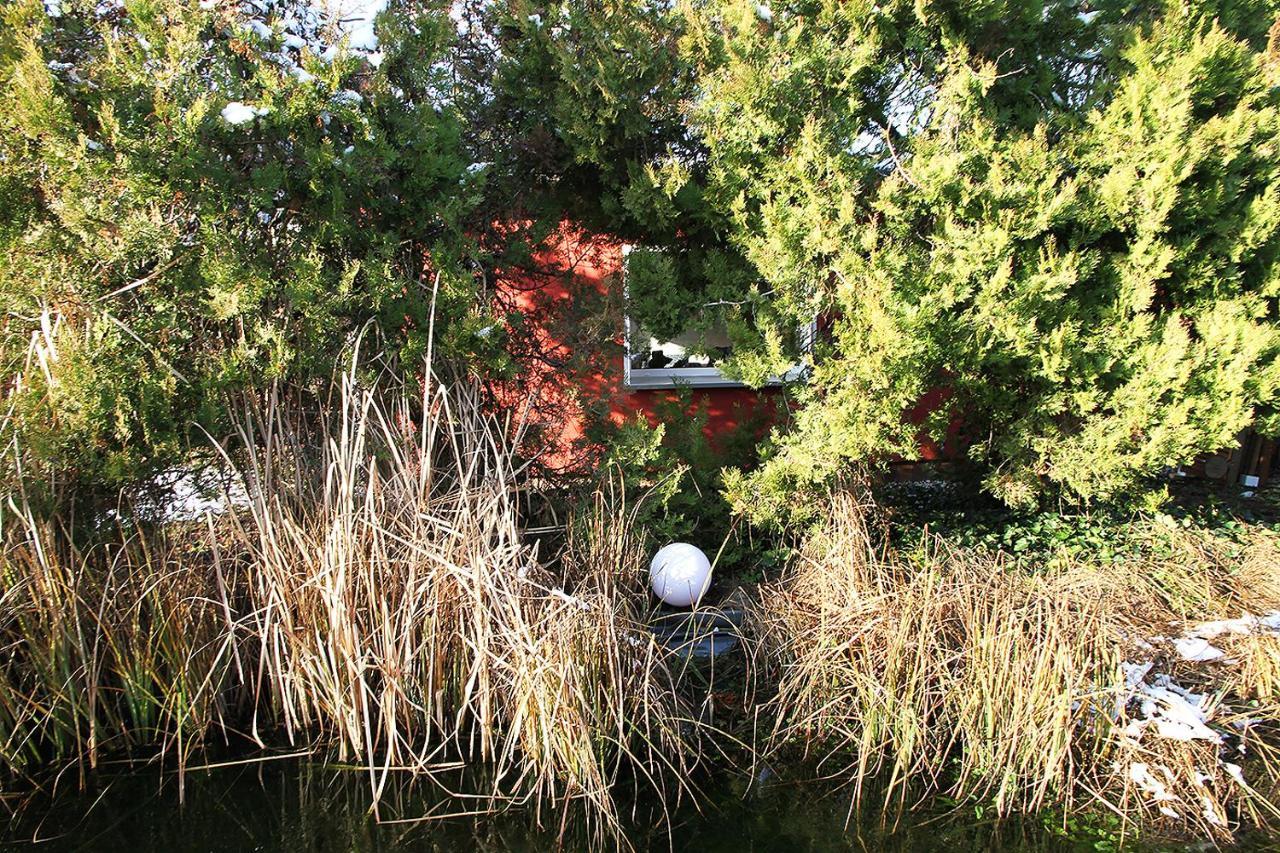 Haus Mit Kunst Zwischen Wald Und See لبسيا المظهر الخارجي الصورة